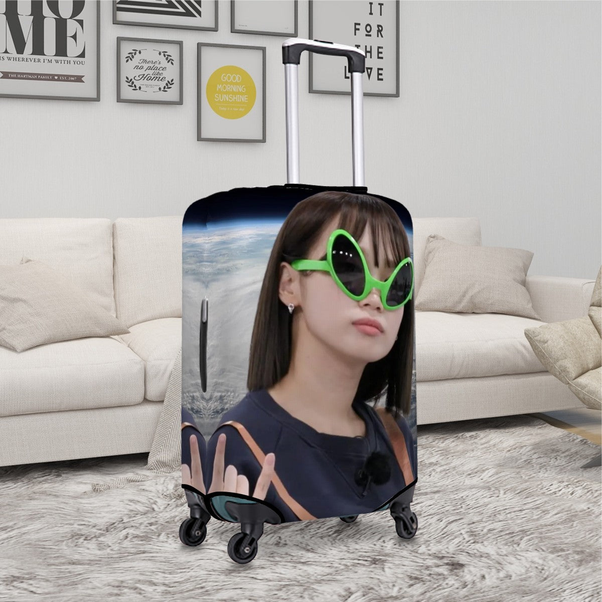 Custom Luggage Cover